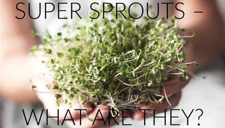 Super sprout – what are they?