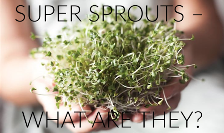 Super sprout – what are they?