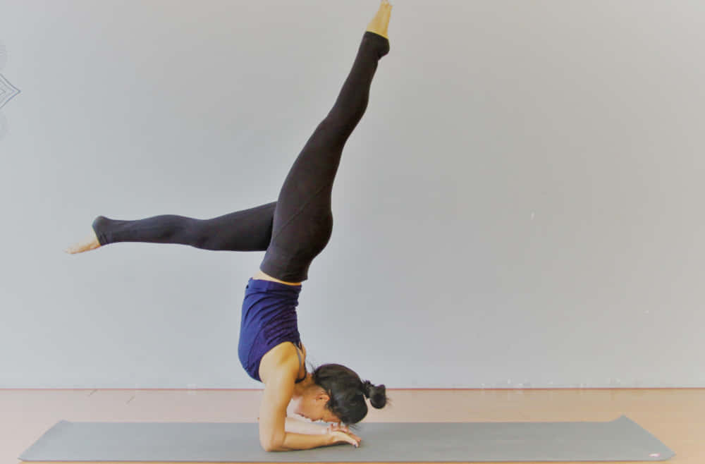 20H Thực hành sáng tạo chuỗi Vinyasa cùng cô Thường Nguyễn