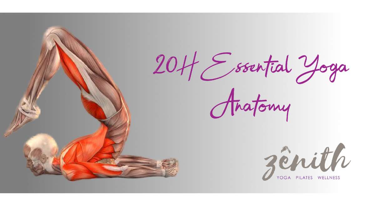 20H Essential Yoga Anatomy Course